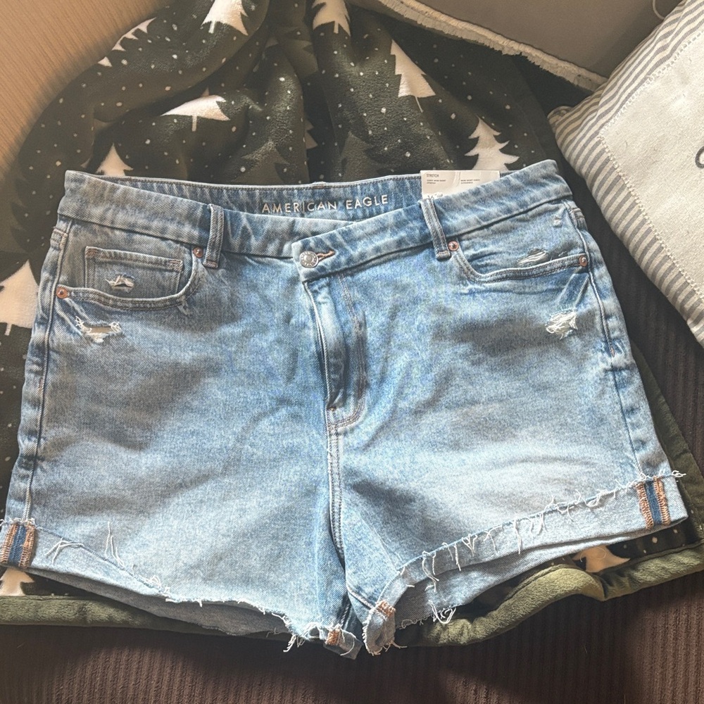 American Eagle Outfitters Light Blue Distressed Jean Shorts